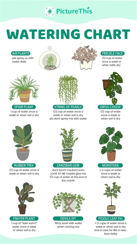 Houseplant water propagation how to make new plants for free – Artofit