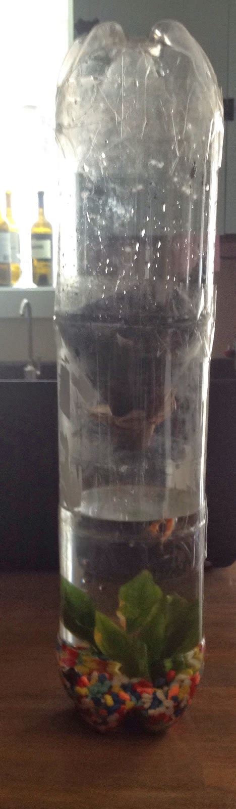 Image result for Science Model Using Bottle