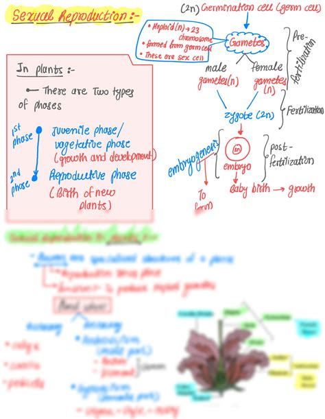Image result for Functions of Labelling Class 12 Bio Ch. 1 Groth of Pollen Tube