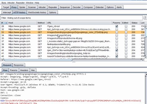 Kuvatulokset haulle burp scans