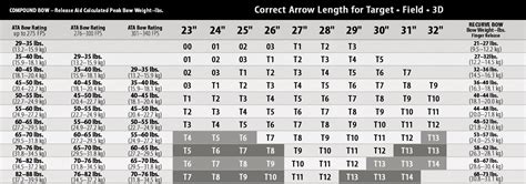 Image result for Compound Bow Arrow Chart