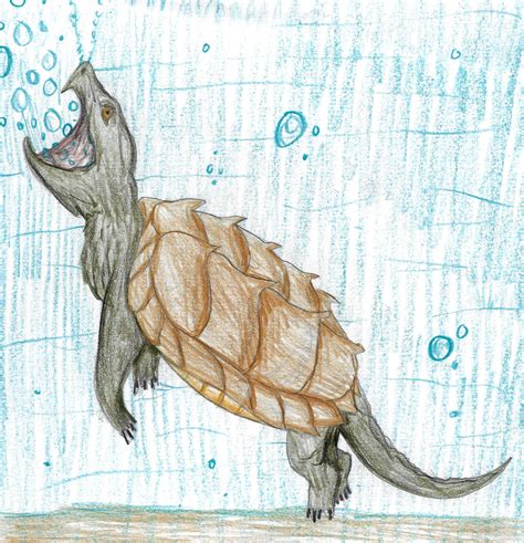 Image result for Alligator Snapping Turtle Cartoon