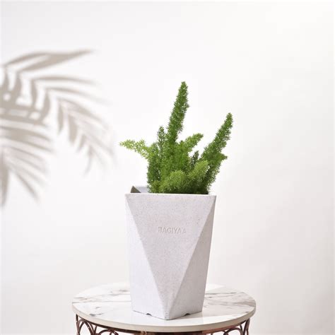 Square Diamond Planter - Big Size | Stylish Home Decor