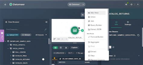 Snowflake Data Tool 的图像结果