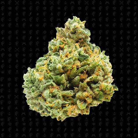 Hellcat Cannabis Strain | Freddy's Fuego