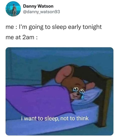 I Schleep Meme