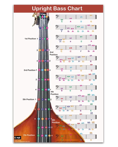 Orchestra Bass Scale Chart