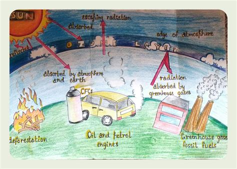 Ecosystem Drawing 的图像结果