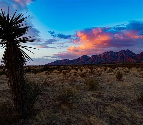 PECOS VALLEY PRODUCTION - All You Need to Know BEFORE You Go (with ...