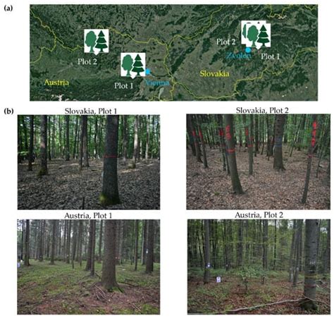 Terrestrial Structure from Motion Photogrammetry for Deriving Forest ...