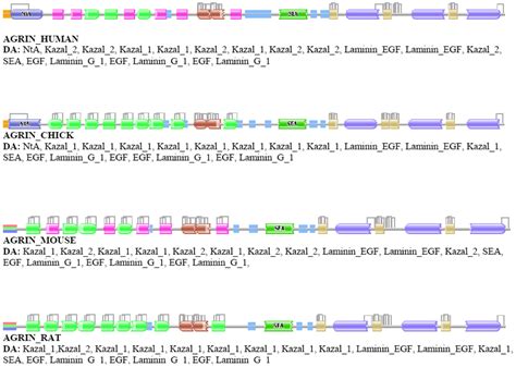 Genes | Special Issue : Evolution and Structure of Proteins and ...