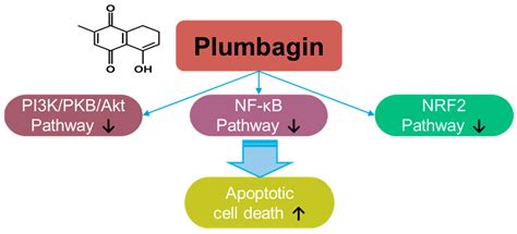 Prominent Naturally Derived Oxidative-Stress-Targeting Drugs and Their ...