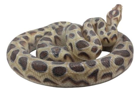Image result for Realistic Python Figurine