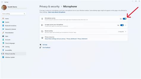 Windows 11 Microphone Problems 的图像结果