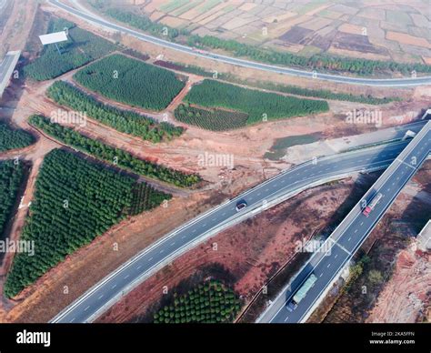 Eye View 的图像结果