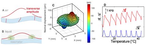 Studying Soft Interfaces with Shear Waves: Principles and Applications ...