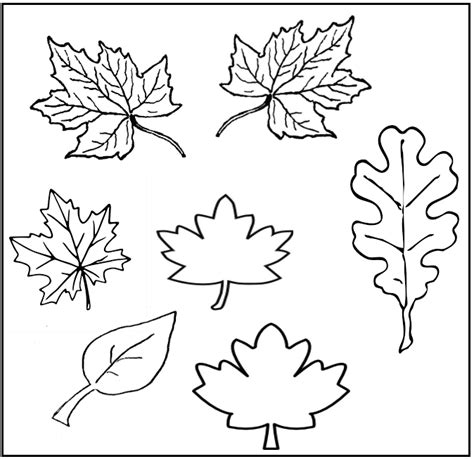 Free Kindergarten Worksheets - Plants 08 | Olympiad tester