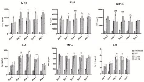 Role of a Putative Alkylhydroperoxidase Rv2159c in the Oxidative Stress ...