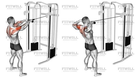 Cable Rope Standing Face Pull: Exercise Guide, Video, Techniques ...