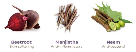 Buy 100% Natural Tear-Free Baby Body Wash With Beetroot, Nagarmotha ...