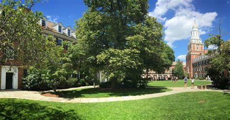 Image result for Neuroscience Degree Programs