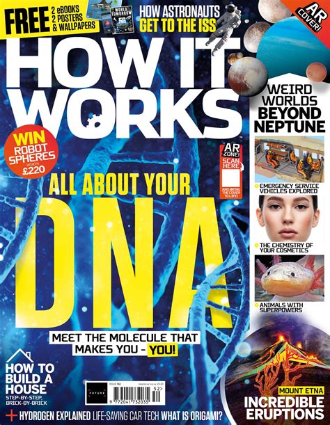 Time Travel Experiments 的图像结果