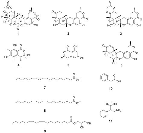 Cytotoxic Pentaketide-Sesquiterpenes from the Marine-Derived Fungus ...