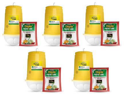 Chipku® Melon Fly Glass Trap & Lure Pack of 5 Traps for Garden ...