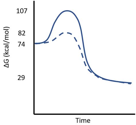 Image result for Free Energy Change for Reaction of H2O2 Pro