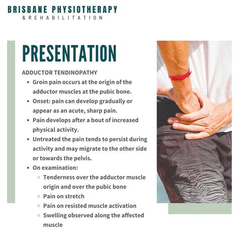 Adductor Injury & Adductor Groin Muscle Strain - Brisbane Physiotherapy