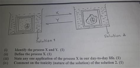 IV. LONG ANSWER TYPE (5 Marks) 9. The following experimental setup is ...
