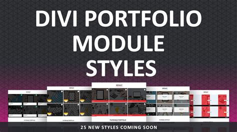 Image result for Divi Portfolio Module