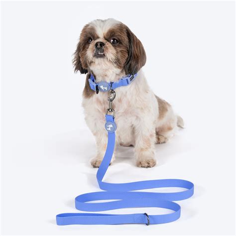 HUFT Hive Harmony Waterproof Dog Collar & Leash Set - Blue – Heads Up ...