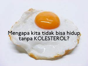 Fungsi Lemak (Lipid) Bagi Tubuh Kita - Kerajaan Biologi