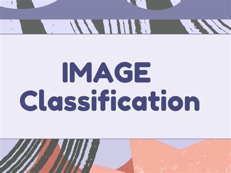 Computer Vision Classification Example 的图像结果