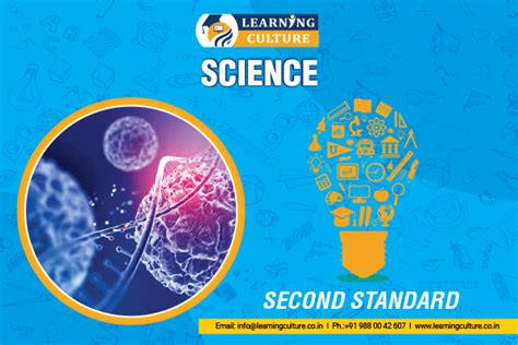 Image result for Second Standard Class