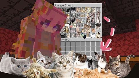 Image result for Bionic Minecraft Speed Run Troll