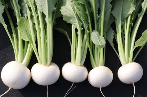 Image result for Code Pun Code