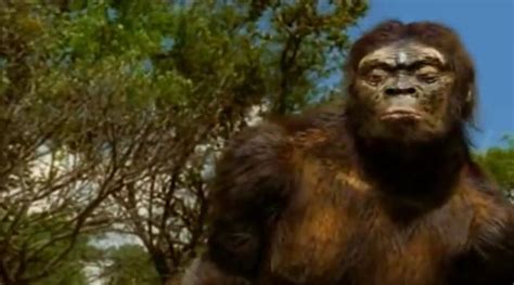 Australopithecus Documentary 的图像结果