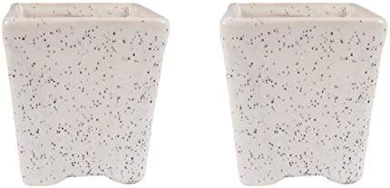 Lasaki Mini Ceramic Pot for Indoor Plants, Living Room, Interior Flower ...