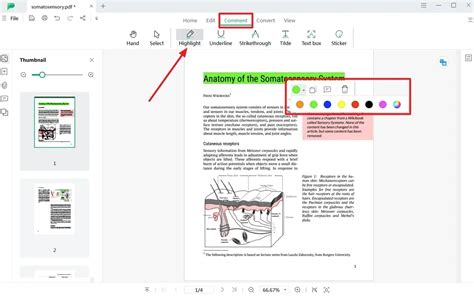 Image result for How to Type On PDF