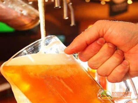 年底开发精酿德式啤酒设备自动化精酿啤酒设备价格_特点参数_使用方法_适用范围_史密力维北京北京-食品机械行业网