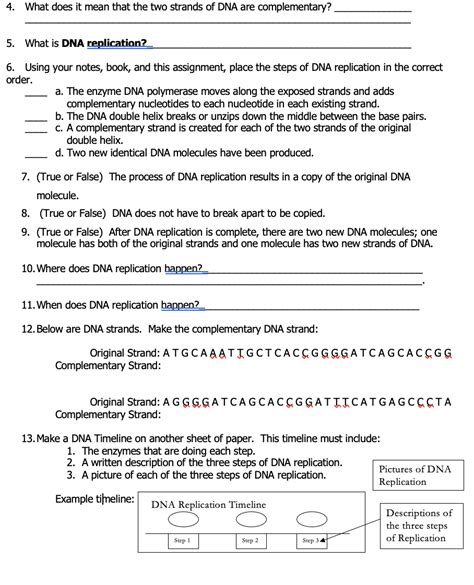 Image result for DNA Replication Multiple Choice Questions
