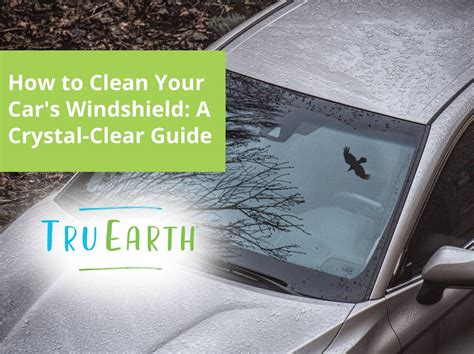 Image result for Clean Windshield