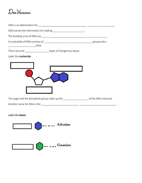 Image result for DNA Simulation Worksheet