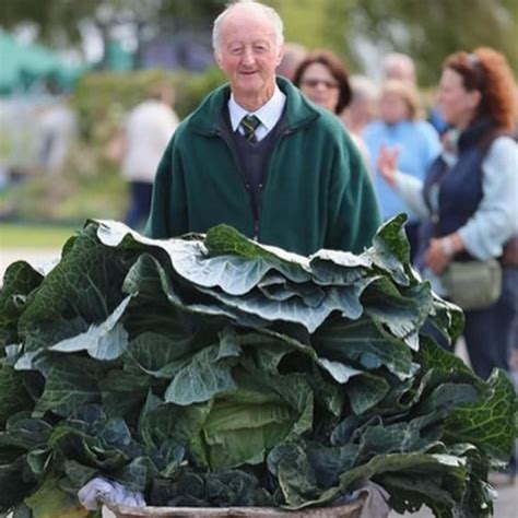 Carla’s Fresh Market (@carlasfreshmarket) • Instagram photos and videos