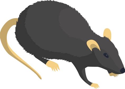 Image result for Rat Python Vector