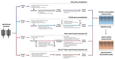 Comparative Analysis of Universal Protein Extraction Methodologies for ...
