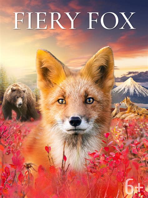 Fiery Fox Promo Code 的图像结果