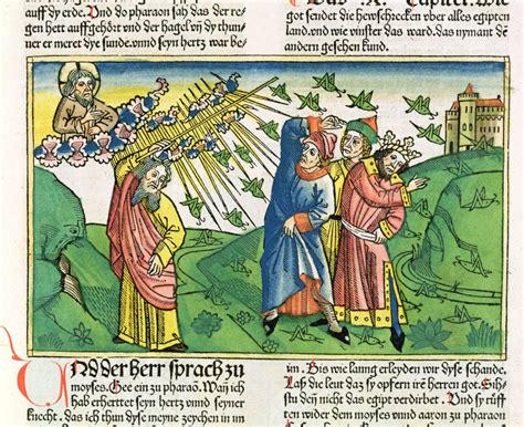 Exodus 10:1-20 The Seven Plagues of Egypt: the plague of locusts, from ...